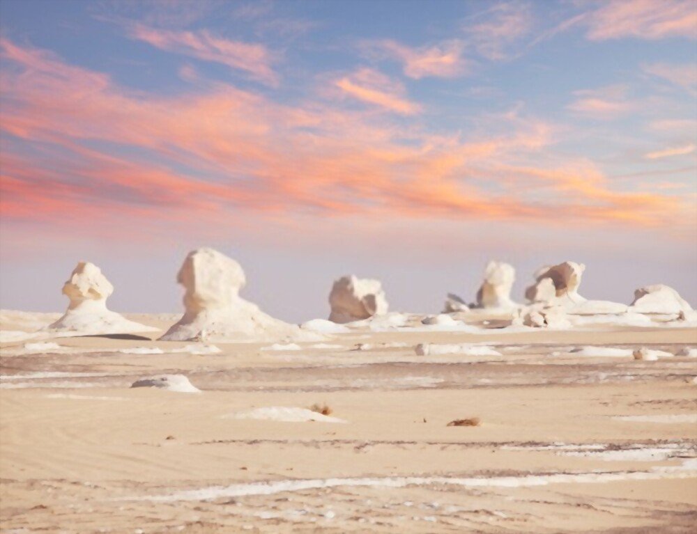 The White Desert